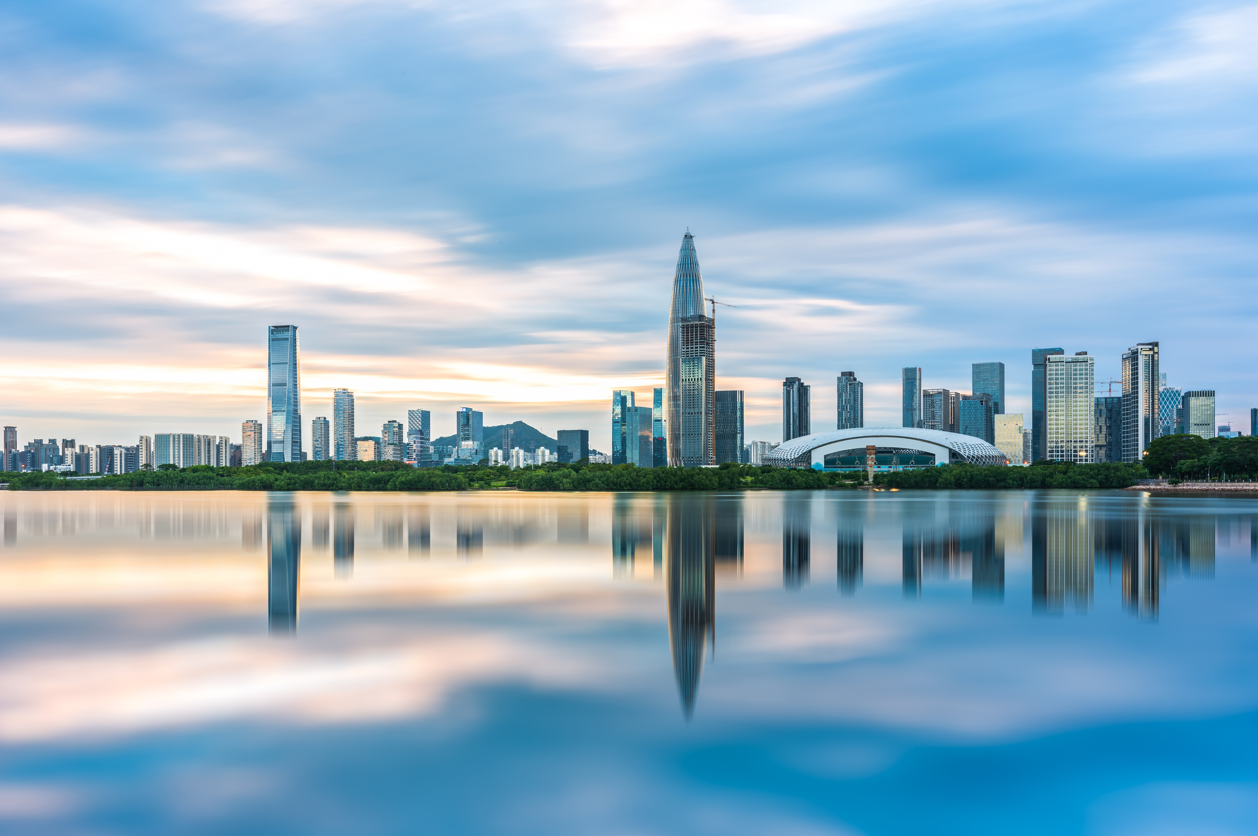 Shenzhen Bay City Skyline